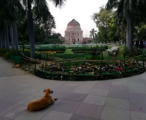 Bara Gumbad Lodhi Garden Neu-Delhi